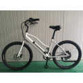 Belt Drive Aluminum Road Bike